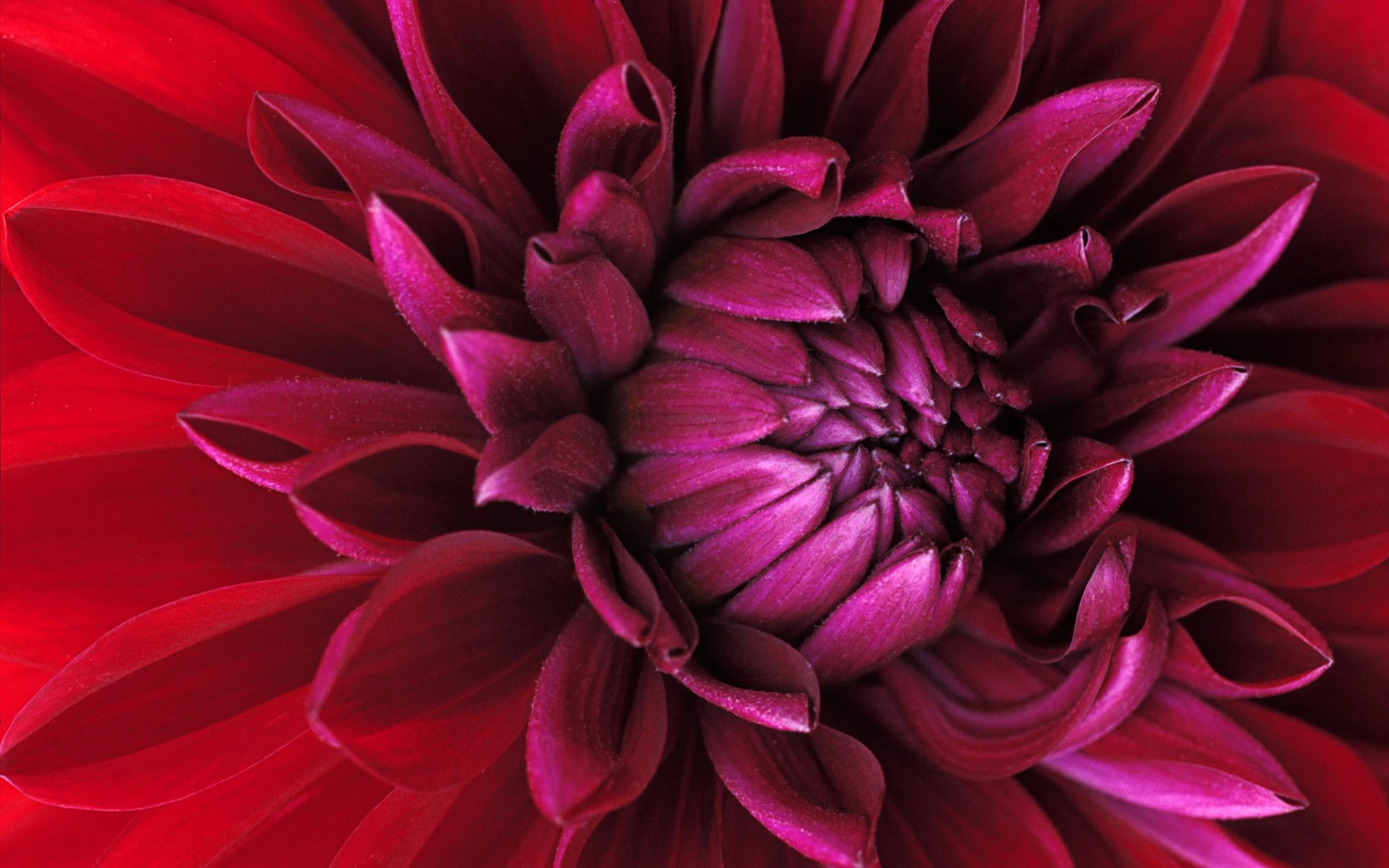 Nature 5