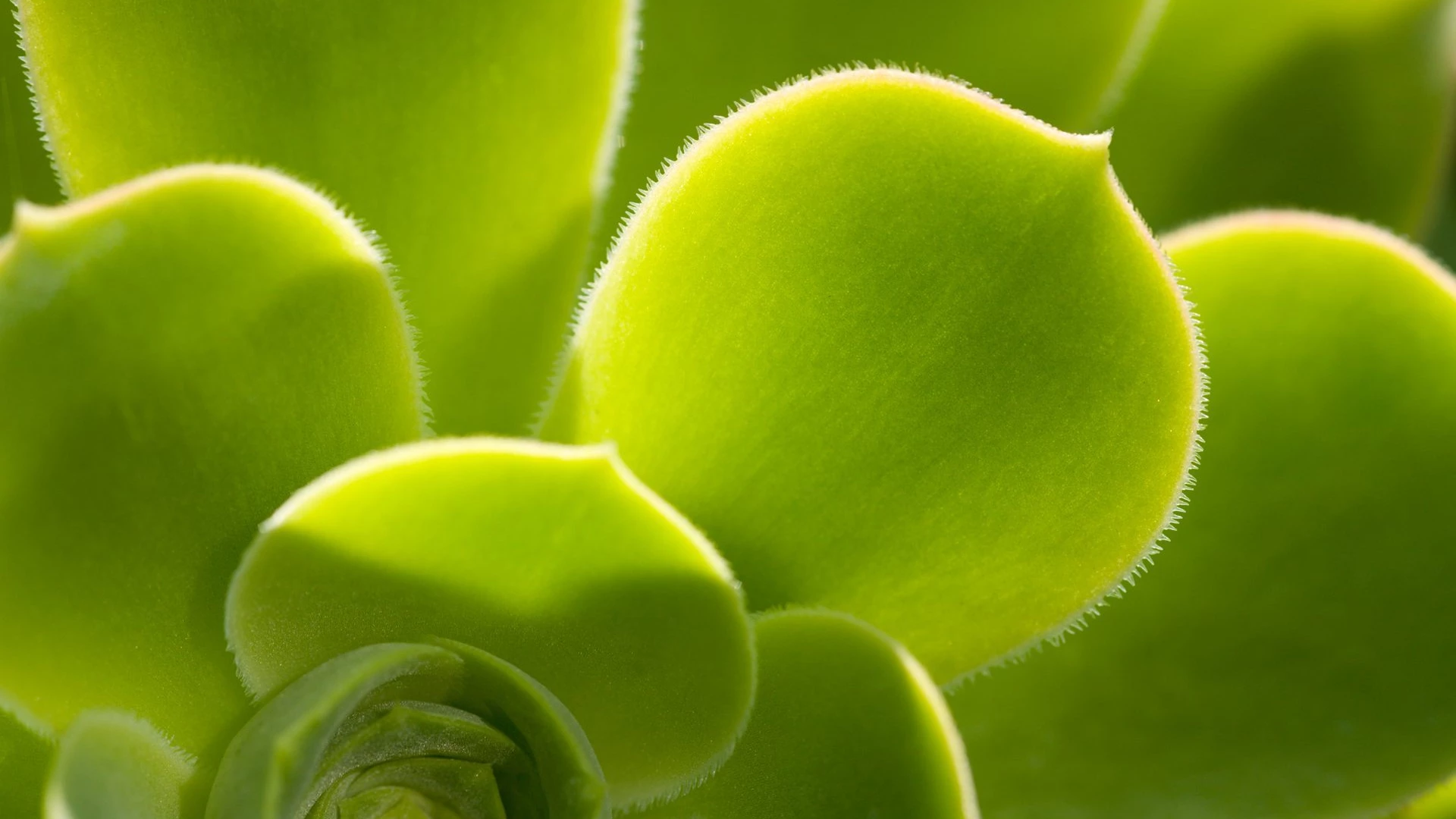 Nature 2