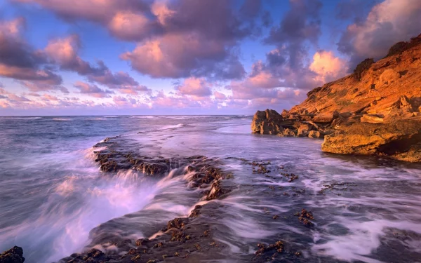 Landscape 3
