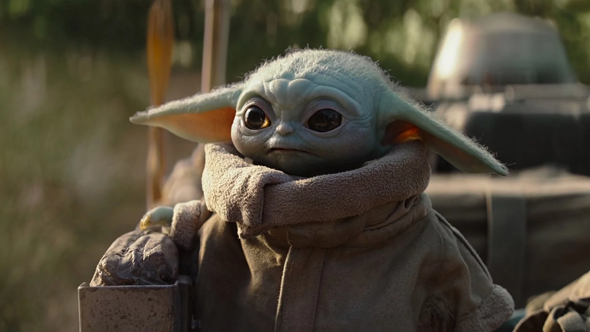 The mandalorian baby yoda