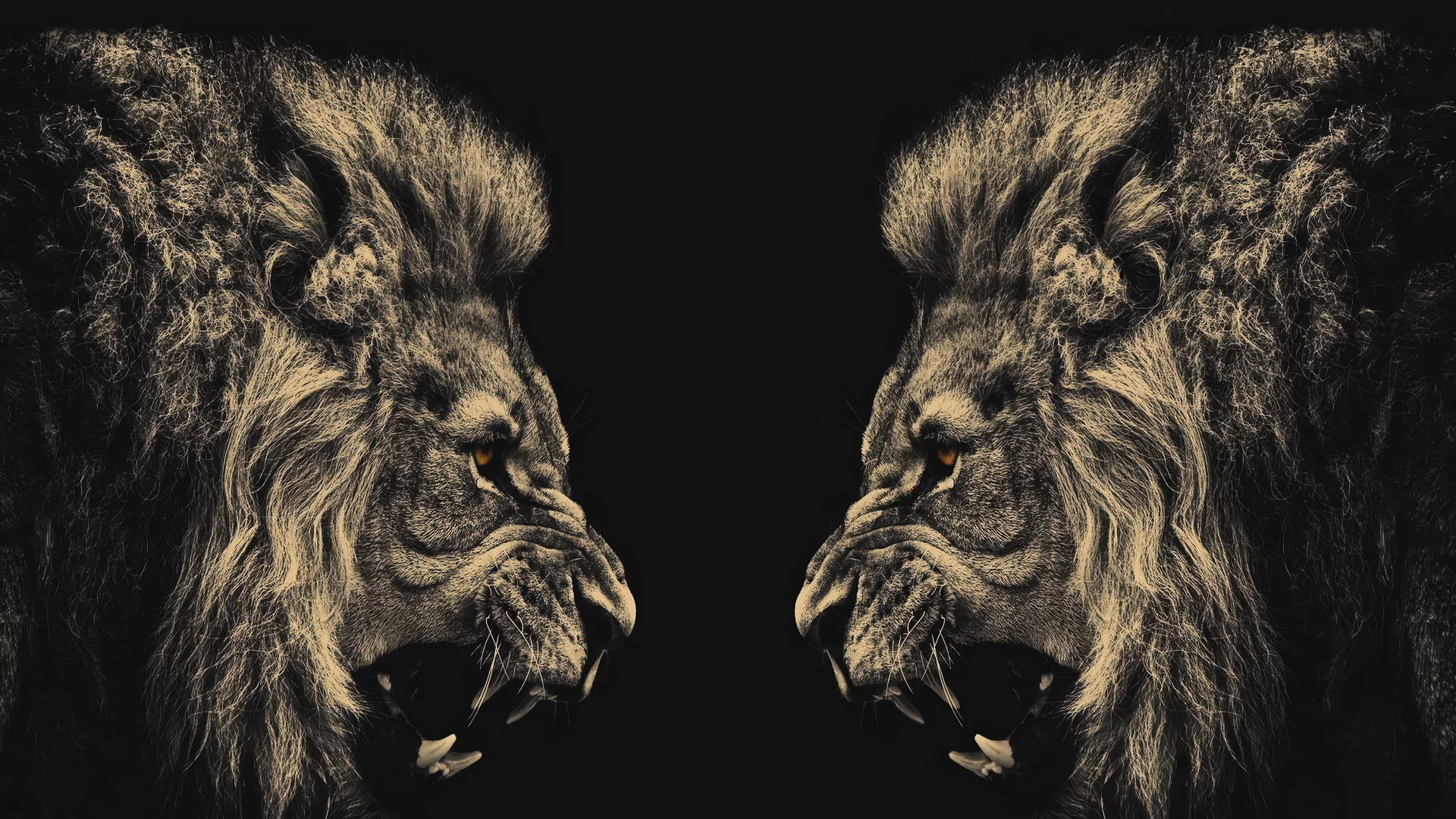 Leones