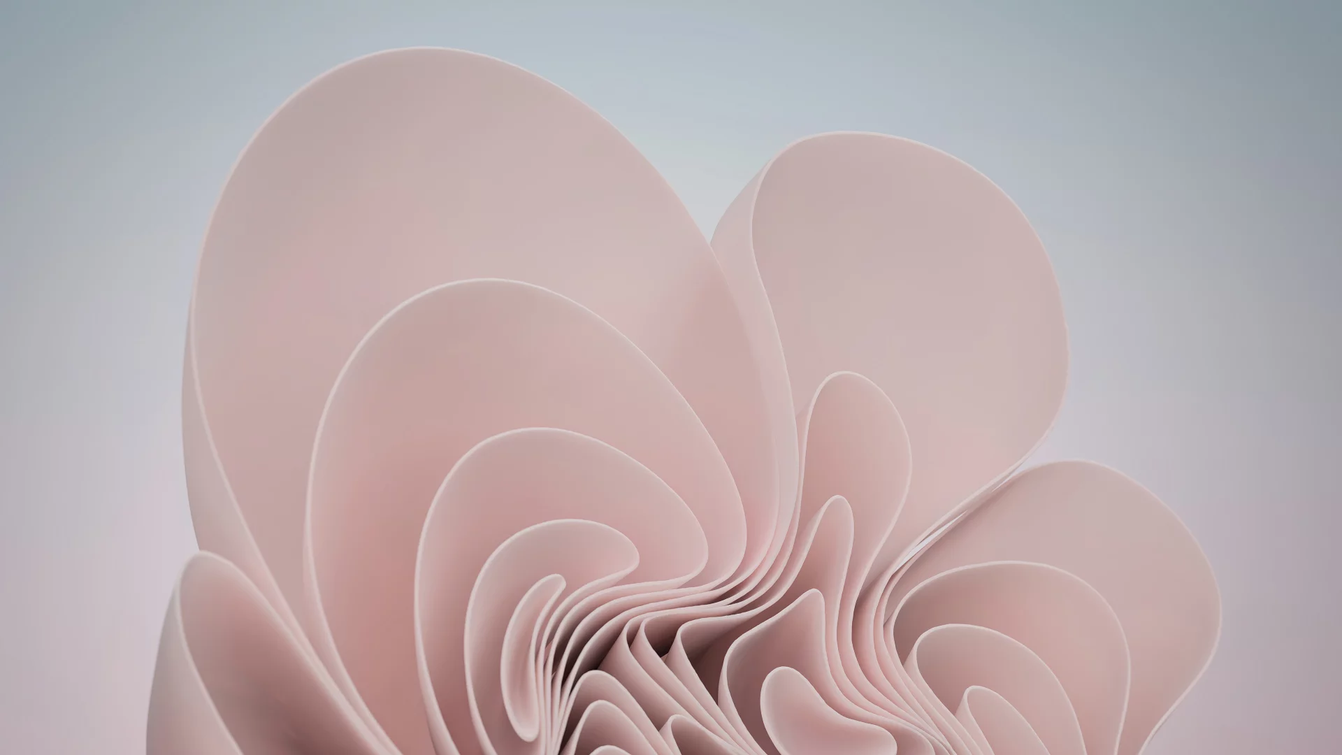 Windows 11 Rosa