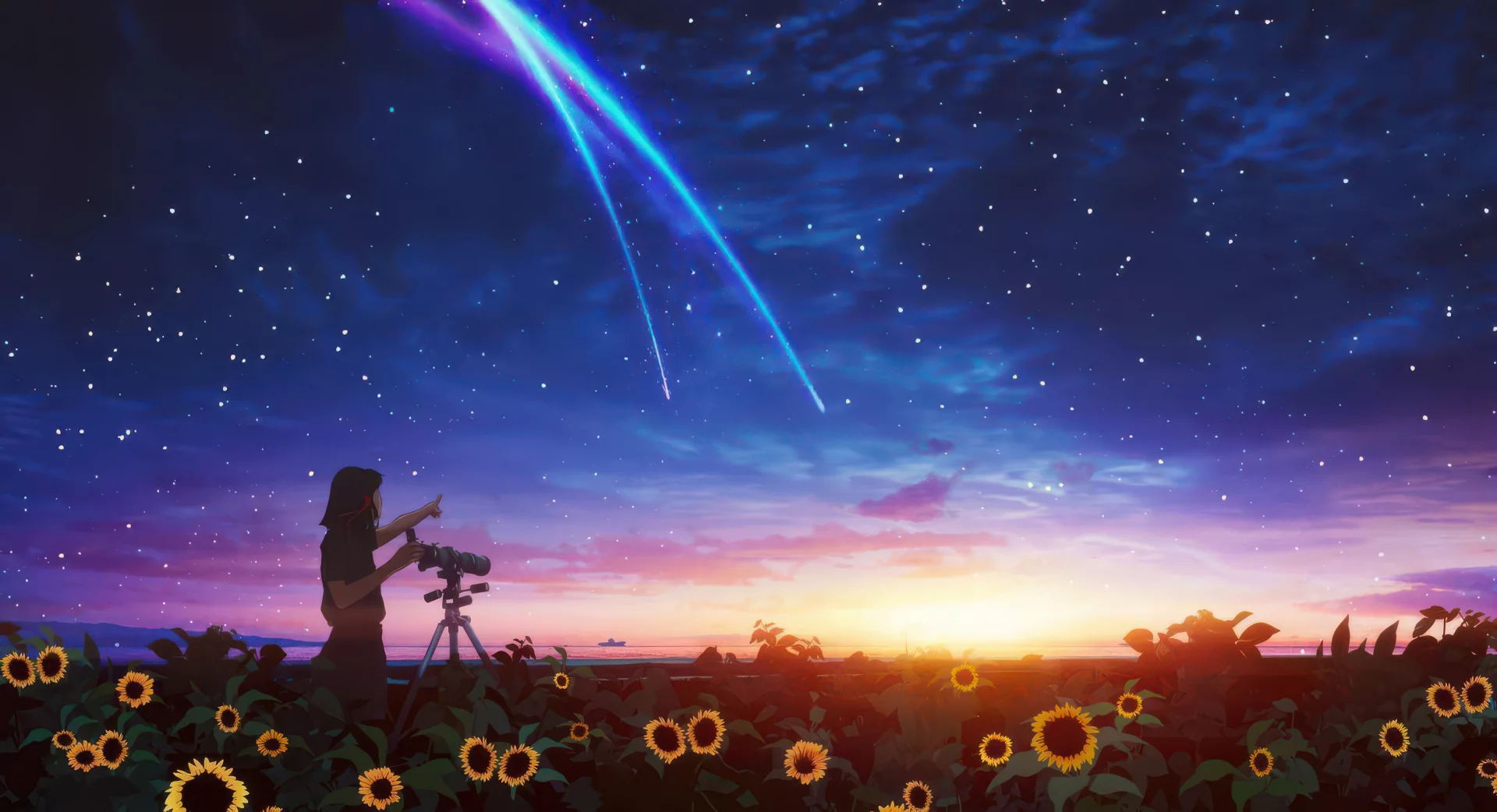 MIrando las estrellas en el campo de girasoles