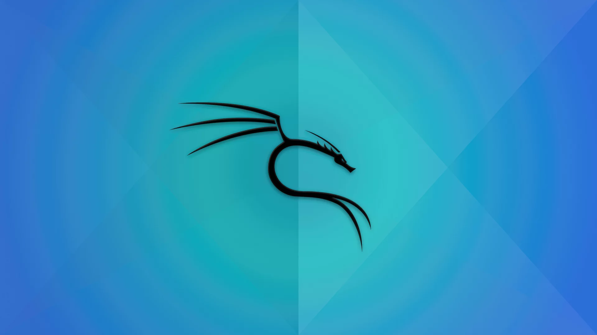 Kali linux
