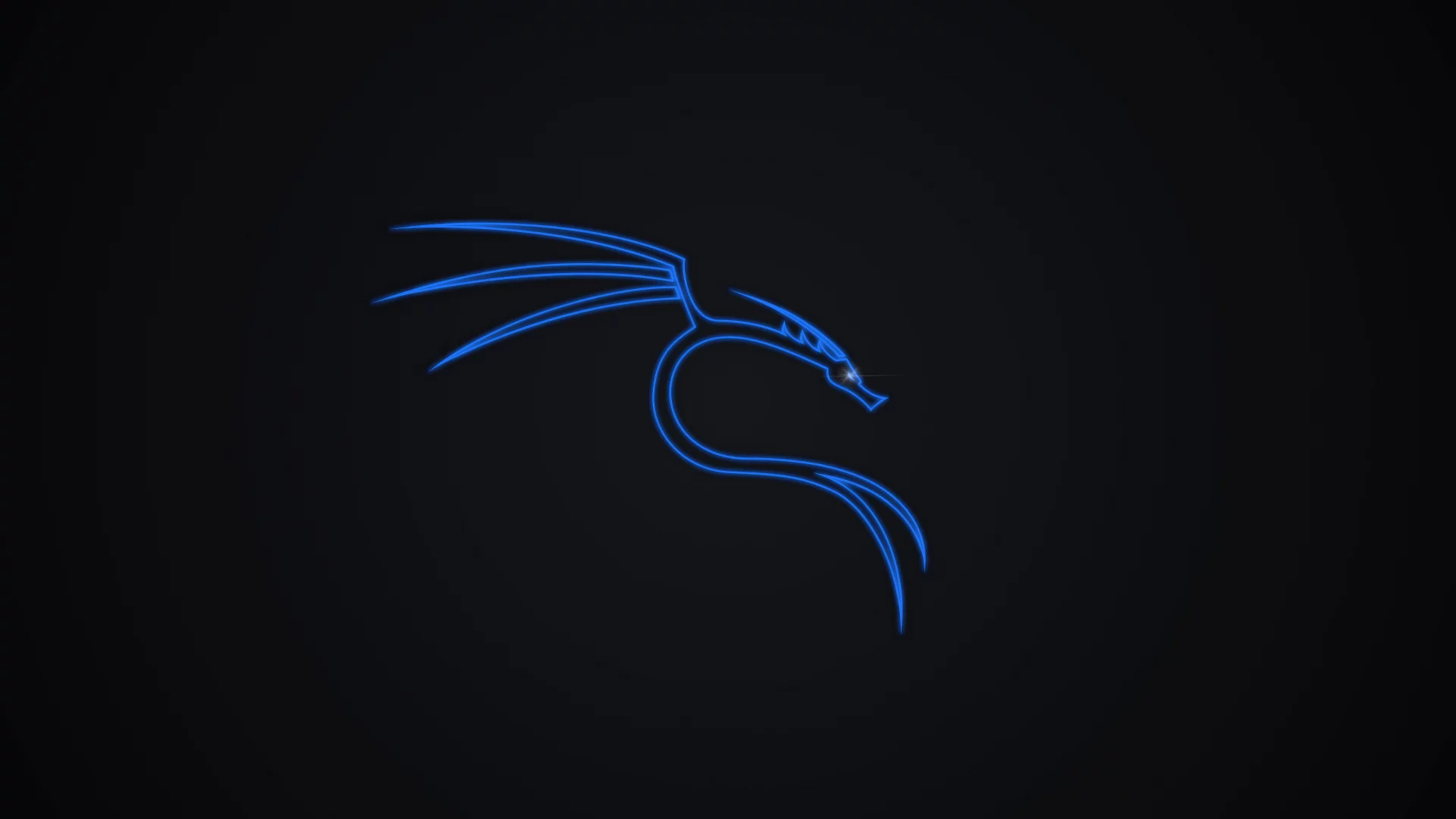 Kali linux