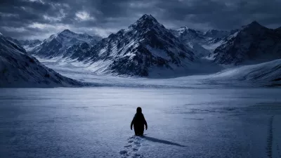 Pinguino Caminando Solo