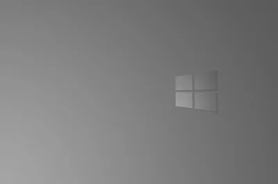Windows galvanizado