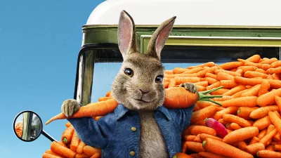 Peter rabbit 2