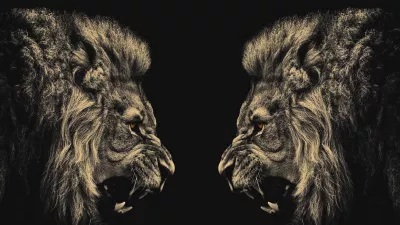 Leones