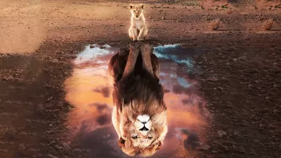 Cachorro de león y león