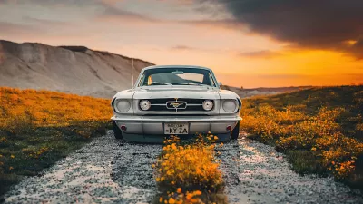 Mustang clasico en un campo de flores