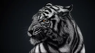 Tigre blanco