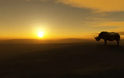 Rinoceronte en la puesta de sol