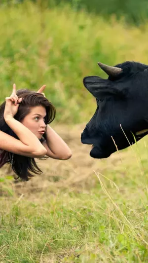 Chica Con La Vaca