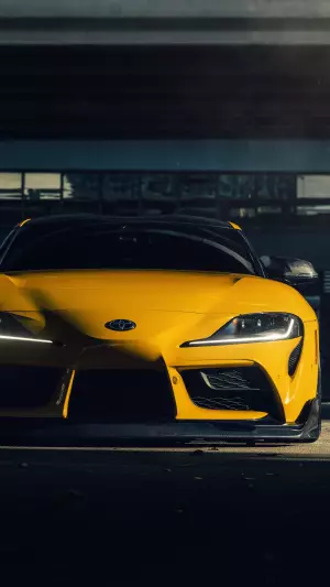 Supra Dt Vossen