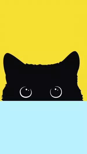 Gato Negro