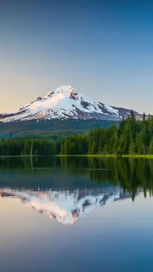 Lago Bosque Y Montana