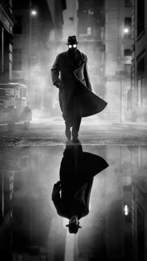 Spider noir