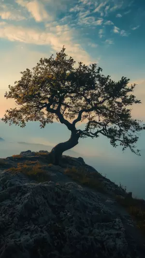 Arbol en la montaña