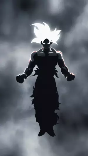 Goku s silhouette