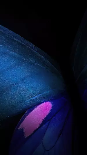 Fondo abstracto de mariposa