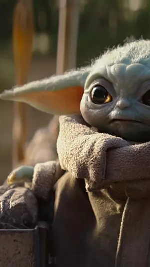 The mandalorian baby yoda