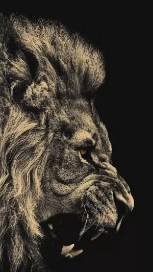 Leones