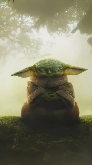 Mandalorian - Baby yoda