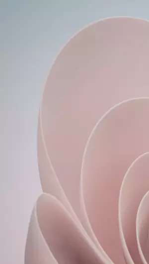 Windows 11 Rosa