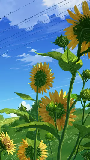Dia de verano anime