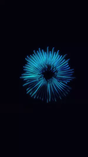 Flor de arrecife de coral