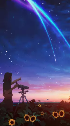 MIrando las estrellas en el campo de girasoles