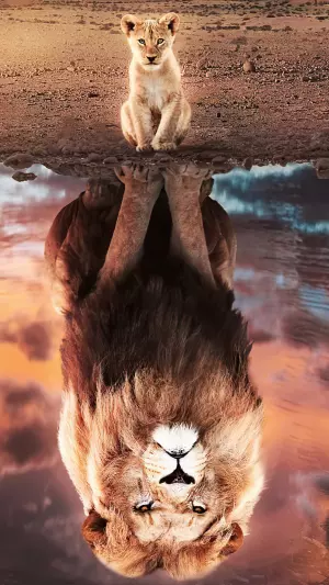 Cachorro de león y león