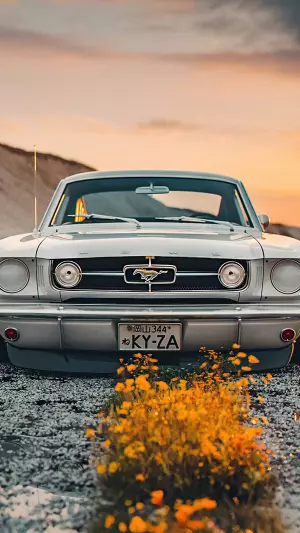 Mustang clasico en un campo de flores