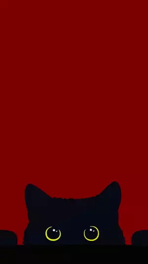 Gato negro con fondo rojo