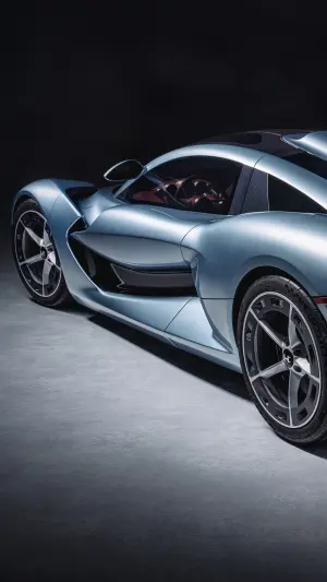 Hennessey blackbird