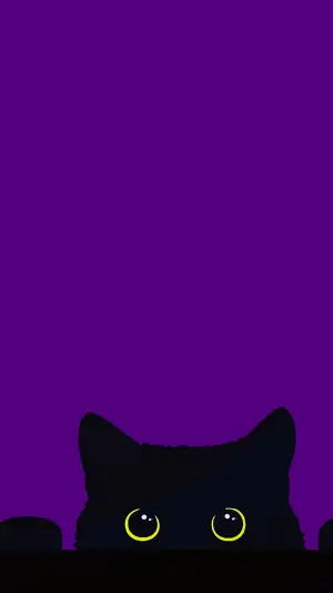 Gato negro con fondo morado