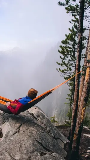 Paisaje de bosque de montaña con niebla y hamaca