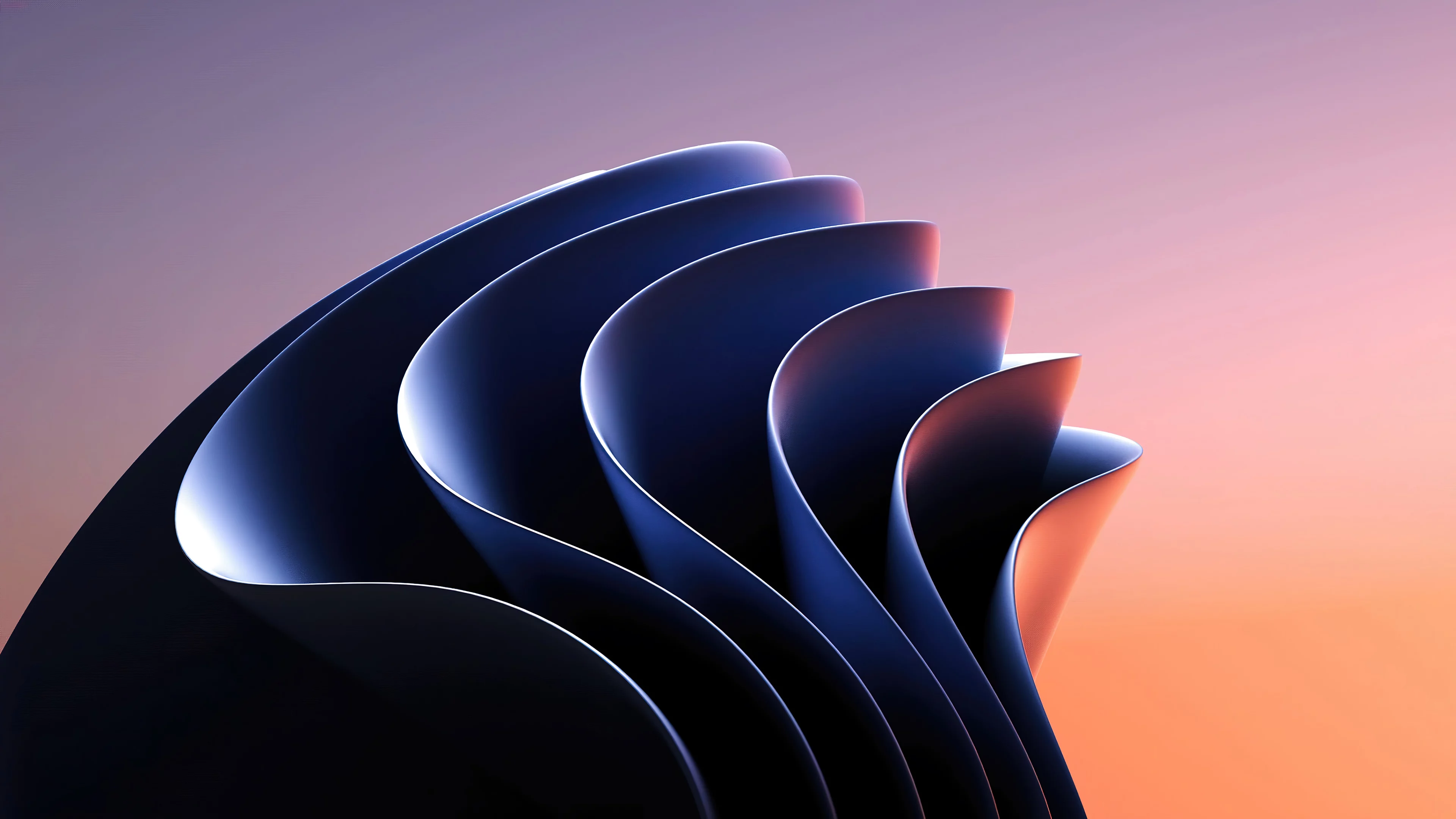 Windows 11 365 abstracto