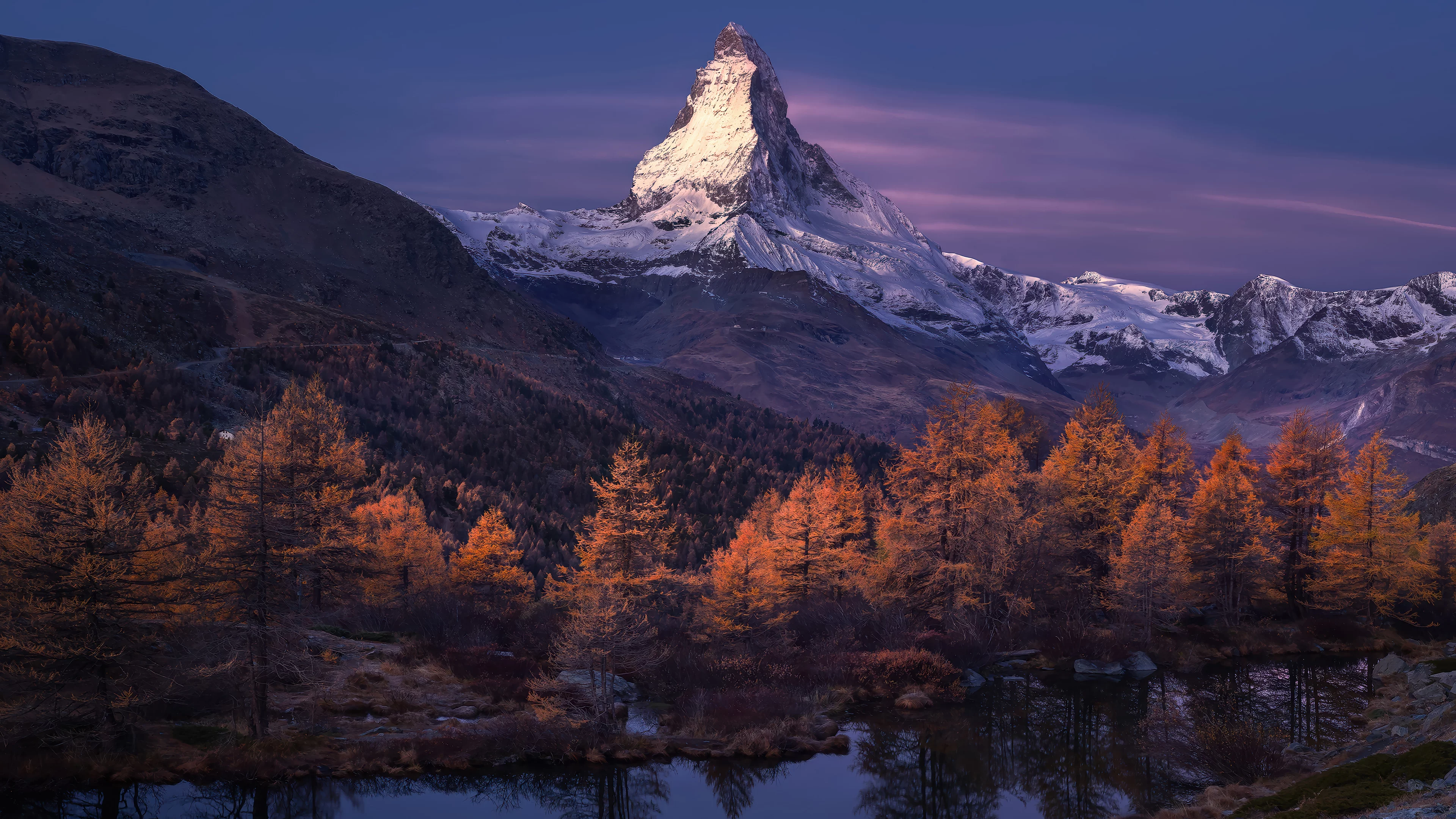 Bosque montañoso nevado