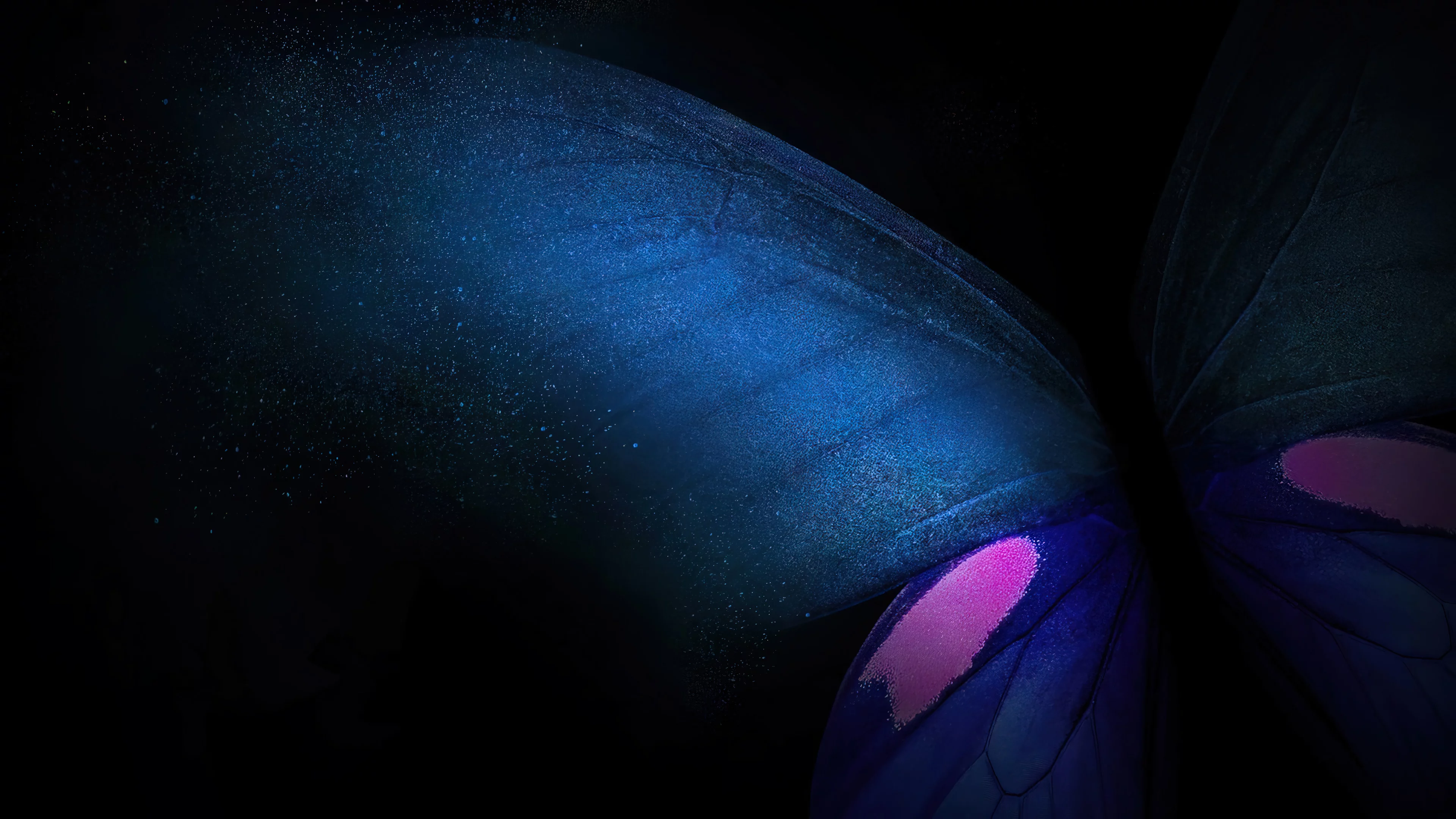 Fondo abstracto de mariposa