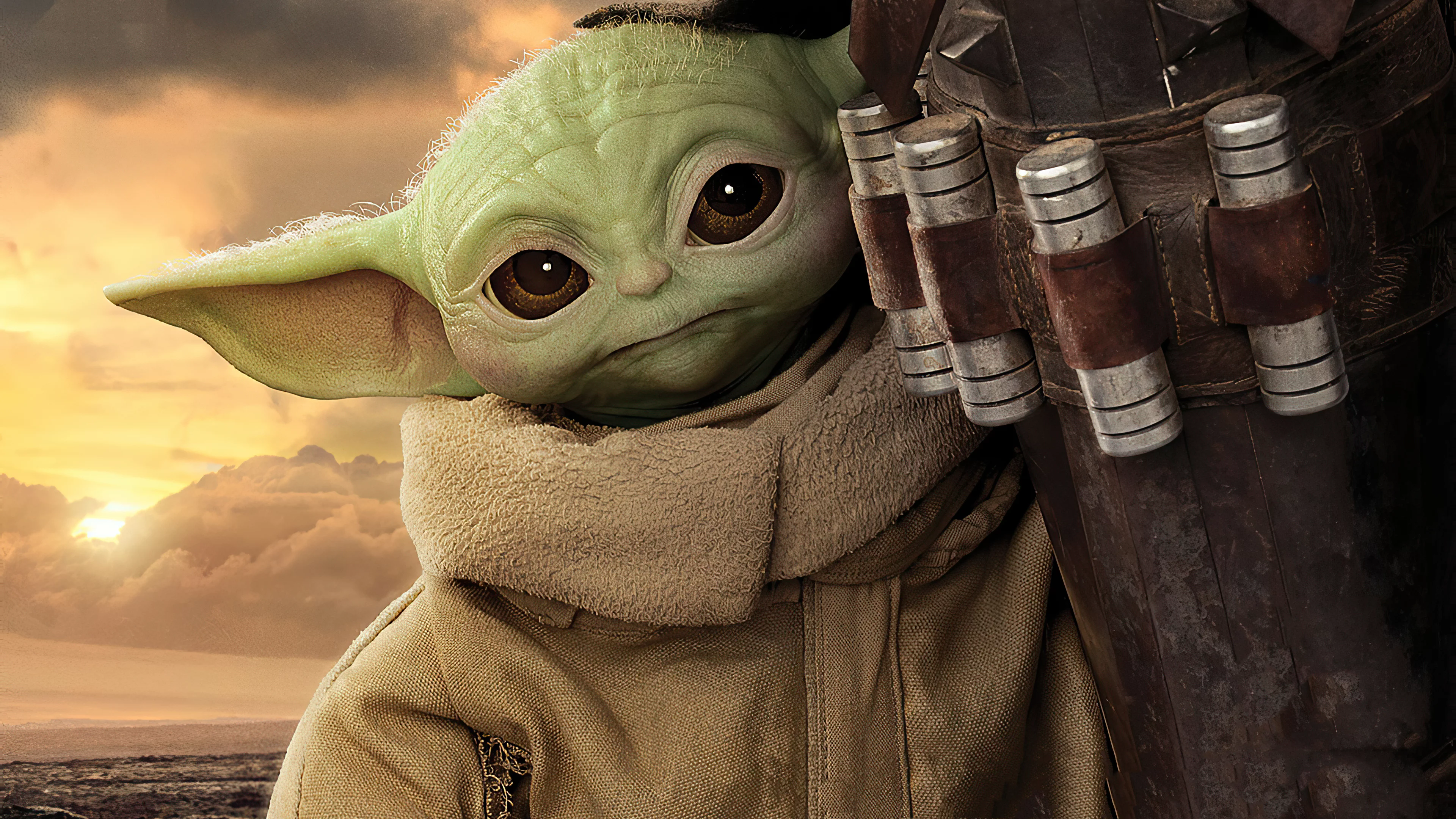 The mandalorian baby yoda