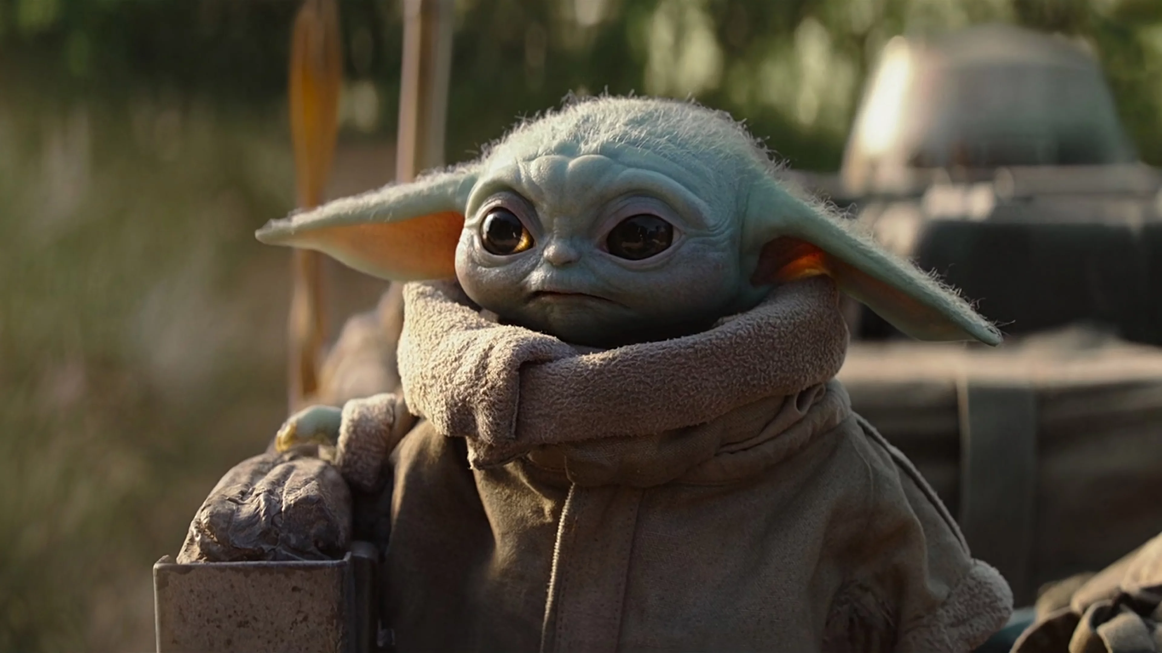 The mandalorian baby yoda