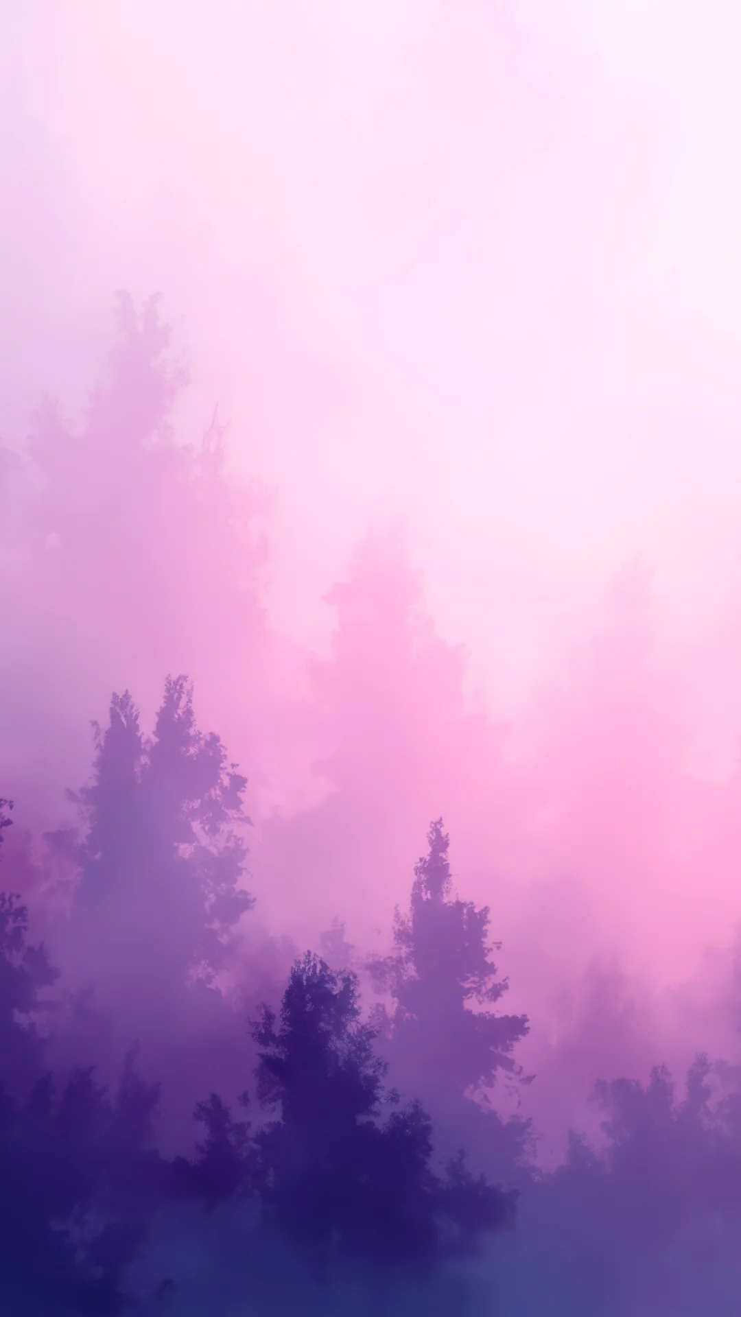 Degradado Rosa Morado