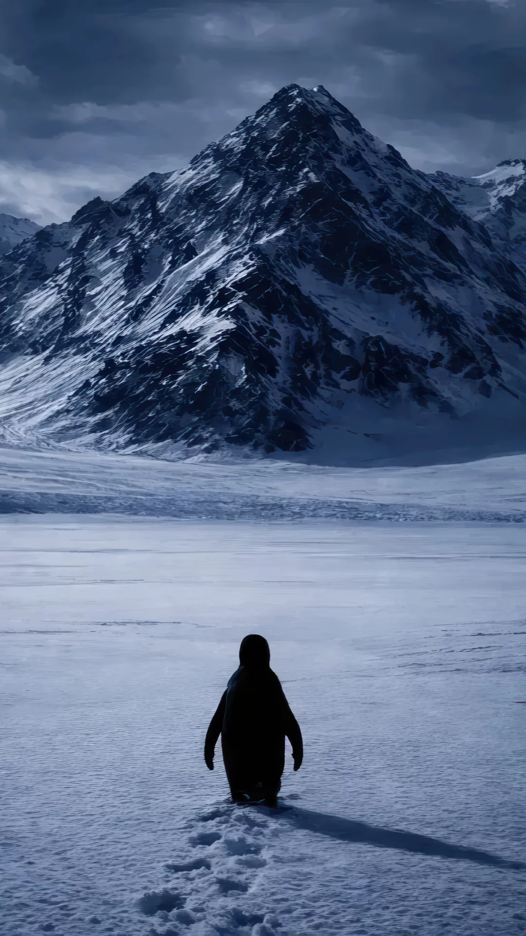 Pinguino Caminando Solo