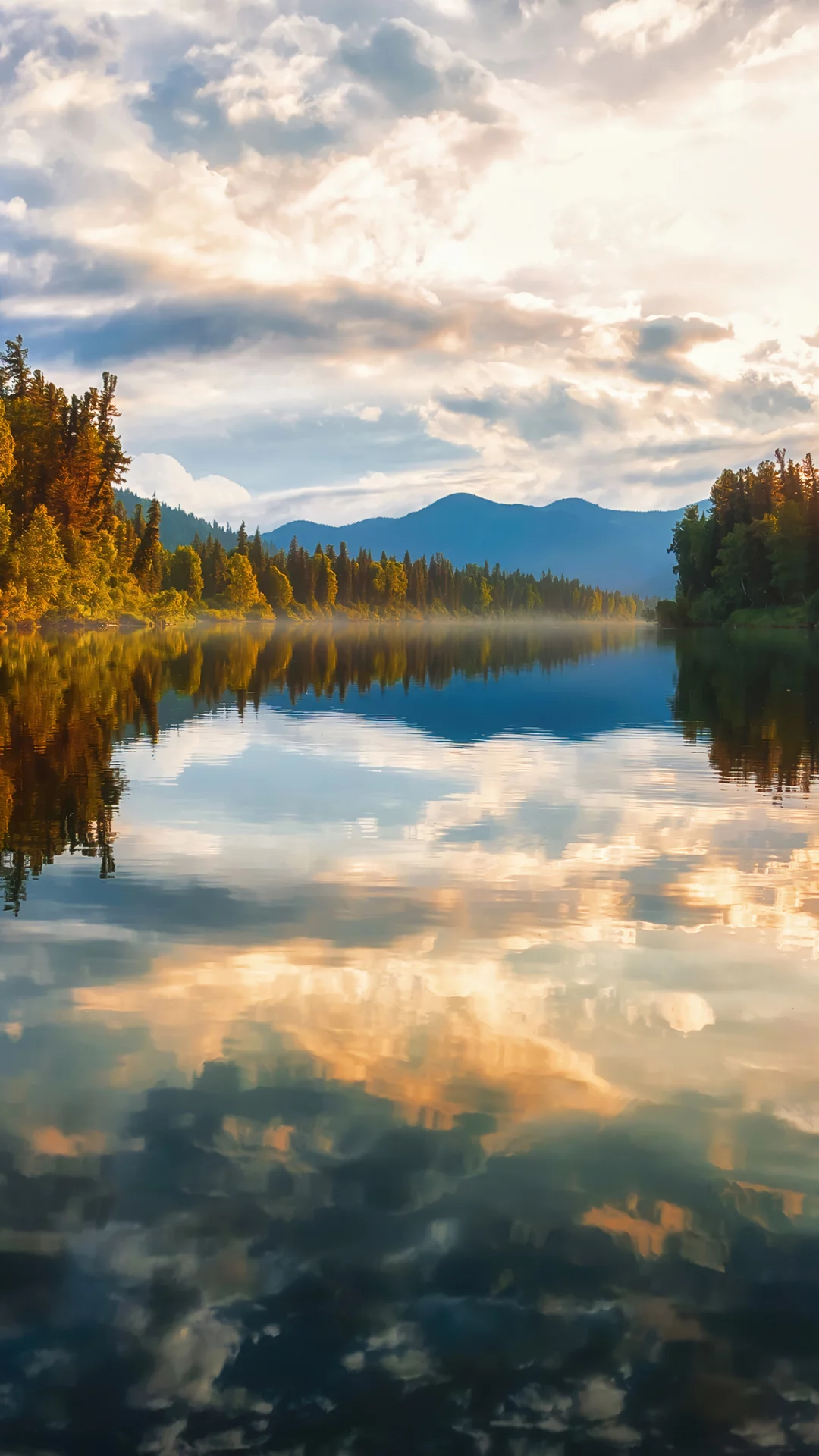Bosque, Rio, Agua, Reflejo