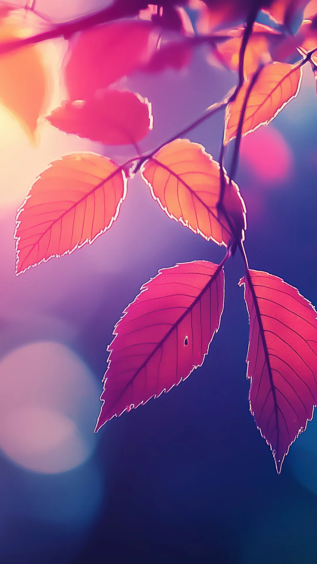 Hojas De Otono: Paisaje Natural